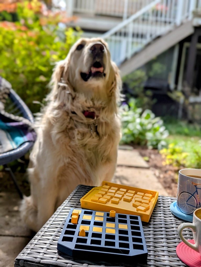 BLOCKOFF Board Game